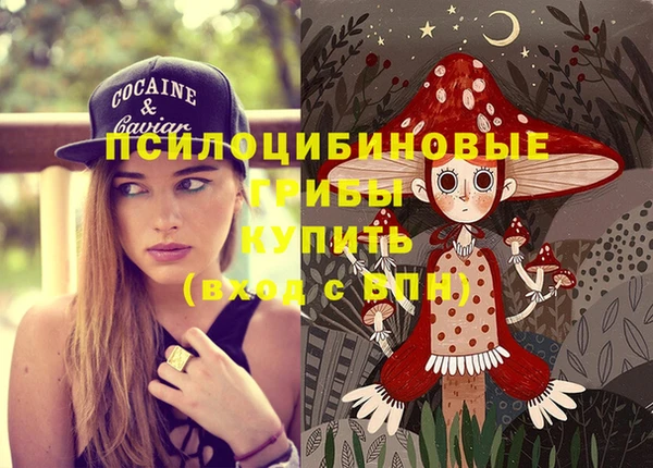 синтетический гашиш Корсаков