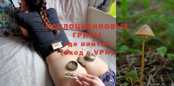 ГАЛЛЮЦИНОГЕННЫЕ ГРИБЫ Алексеевка