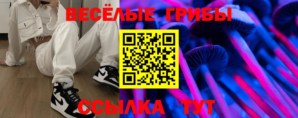 Галлюциногенные грибы Psilocybe  Вход с VPN  Кинель 