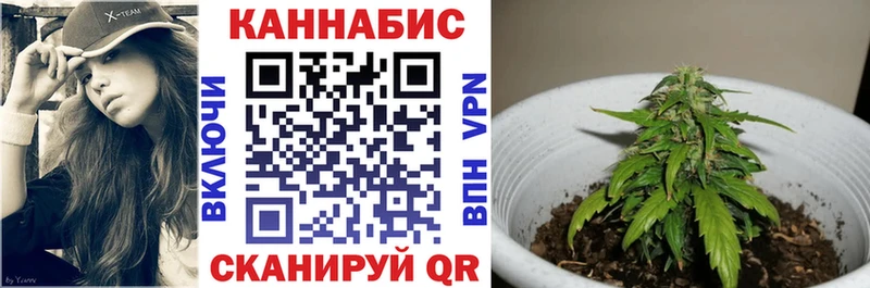 МАРИХУАНА White Widow  Кинель 